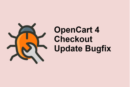 Checkout Update Bugfix